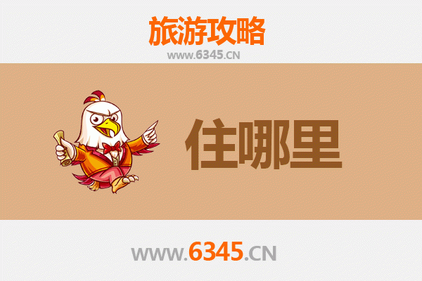 陇南旅游民宿全攻略：沉浸式体验陇上江南的自然与人文之美